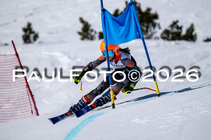 DSV - Actanol Deutscher Schülercup U12 Finale RSX 2026