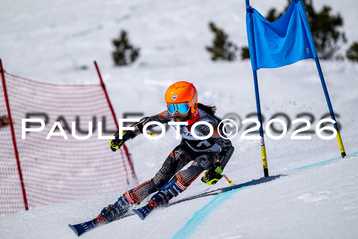 DSV - Actanol Deutscher Schülercup U12 Finale RSX 2026