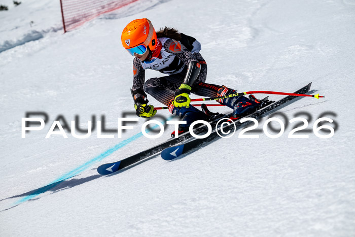 DSV - Actanol Deutscher Schülercup U12 Finale RSX 2026