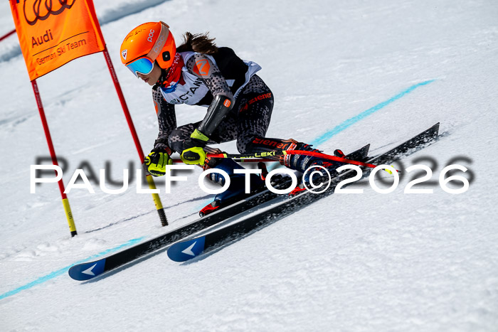 DSV - Actanol Deutscher Schülercup U12 Finale RSX 2026