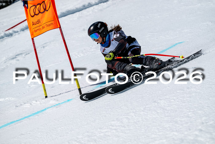 DSV - Actanol Deutscher Schülercup U12 Finale RSX 2026