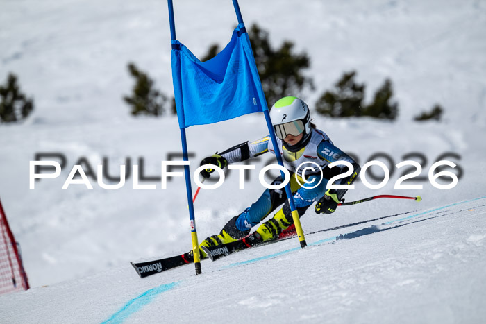 DSV - Actanol Deutscher Schülercup U12 Finale RSX 2026
