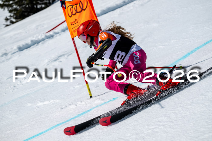 DSV - Actanol Deutscher Schülercup U12 Finale RSX 2026