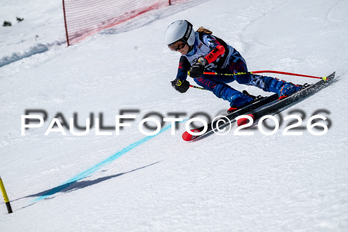 DSV - Actanol Deutscher Schülercup U12 Finale RSX 2026