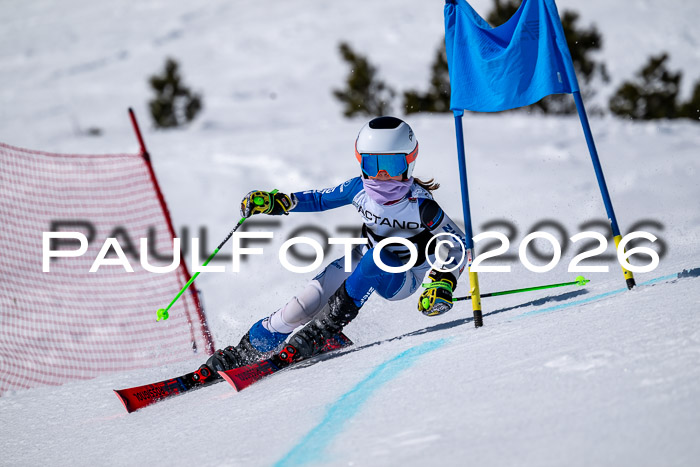 DSV - Actanol Deutscher Schülercup U12 Finale RSX 2026