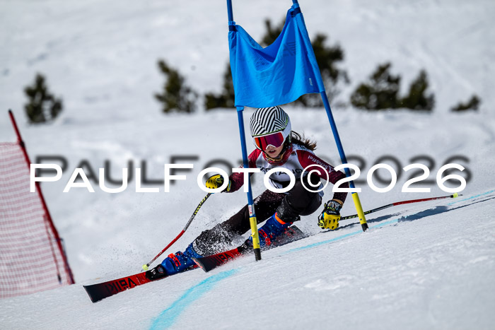 DSV - Actanol Deutscher Schülercup U12 Finale RSX 2026