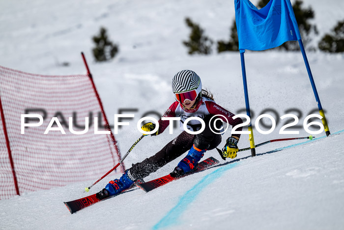 DSV - Actanol Deutscher Schülercup U12 Finale RSX 2026