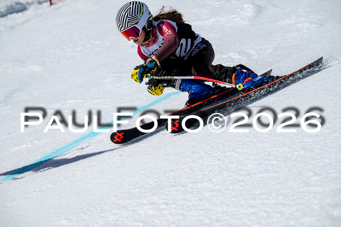 DSV - Actanol Deutscher Schülercup U12 Finale RSX 2026