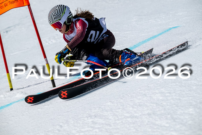 DSV - Actanol Deutscher Schülercup U12 Finale RSX 2026