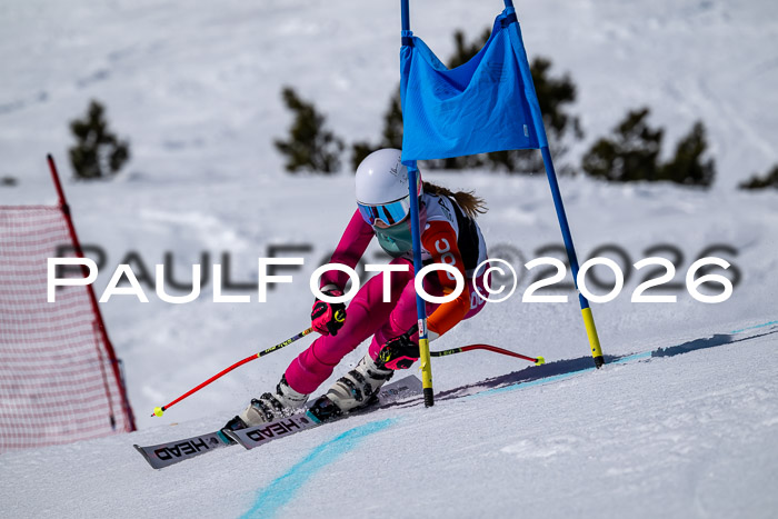 DSV - Actanol Deutscher Schülercup U12 Finale RSX 2026