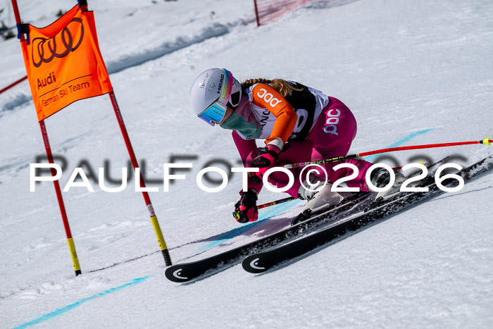 DSV - Actanol Deutscher Schülercup U12 Finale RSX 2026