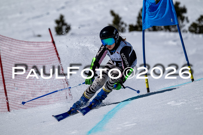 DSV - Actanol Deutscher Schülercup U12 Finale RSX 2026