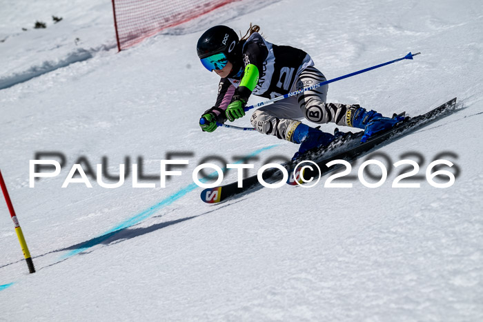 DSV - Actanol Deutscher Schülercup U12 Finale RSX 2026