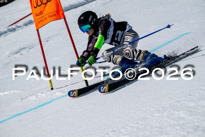 DSV - Actanol Deutscher Schülercup U12 Finale RSX 2026