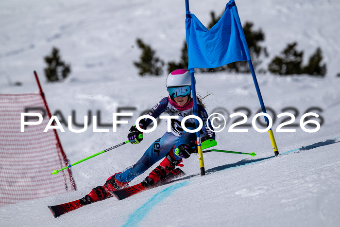 DSV - Actanol Deutscher Schülercup U12 Finale RSX 2026