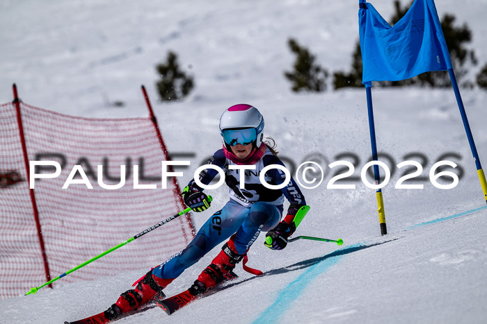 DSV - Actanol Deutscher Schülercup U12 Finale RSX 2026