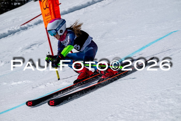 DSV - Actanol Deutscher Schülercup U12 Finale RSX 2026