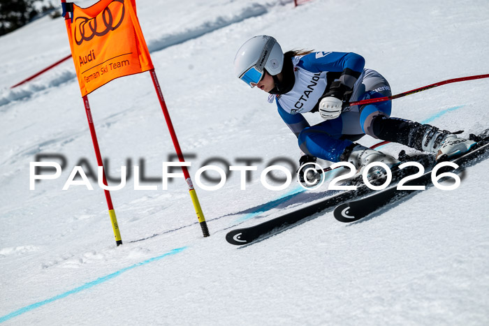 DSV - Actanol Deutscher Schülercup U12 Finale RSX 2026