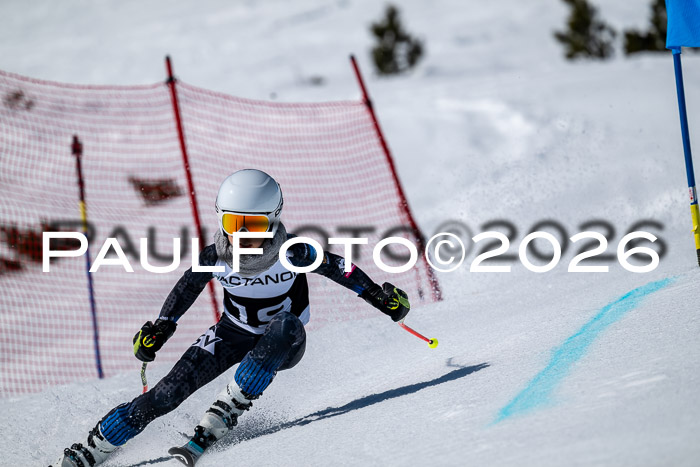DSV - Actanol Deutscher Schülercup U12 Finale RSX 2026