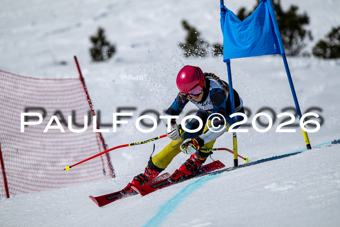 DSV - Actanol Deutscher Schülercup U12 Finale RSX 2026