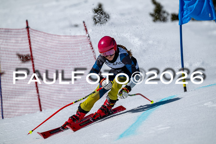 DSV - Actanol Deutscher Schülercup U12 Finale RSX 2026