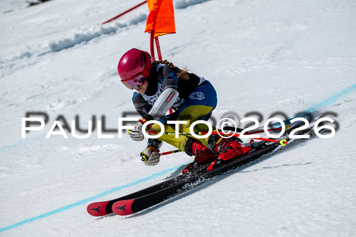 DSV - Actanol Deutscher Schülercup U12 Finale RSX 2026