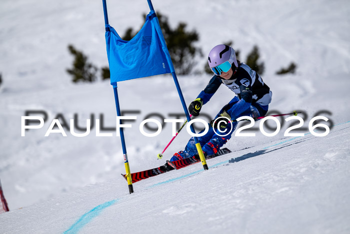 DSV - Actanol Deutscher Schülercup U12 Finale RSX 2026