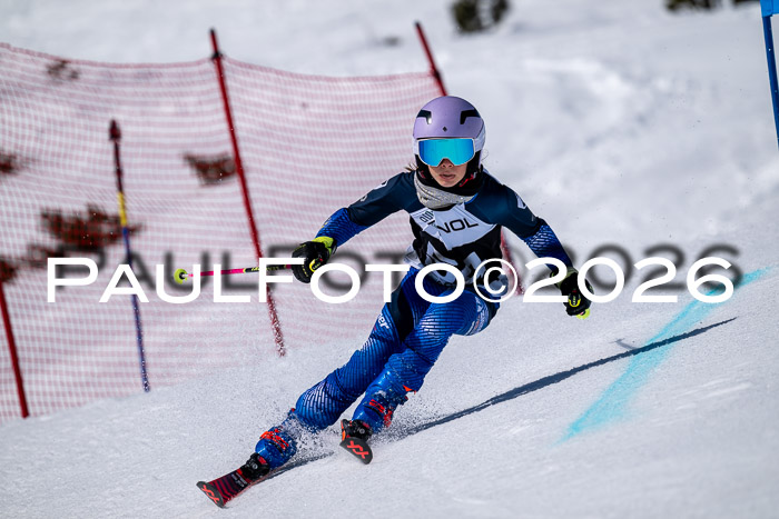DSV - Actanol Deutscher Schülercup U12 Finale RSX 2026