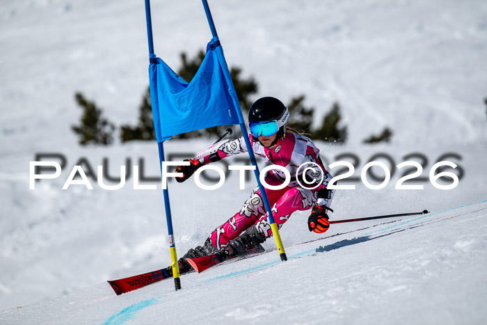 DSV - Actanol Deutscher Schülercup U12 Finale RSX 2026