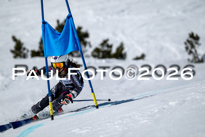 DSV - Actanol Deutscher Schülercup U12 Finale RSX 2026