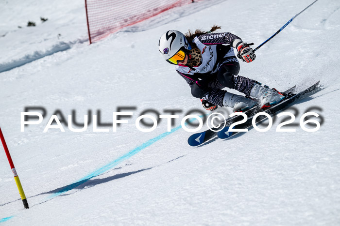 DSV - Actanol Deutscher Schülercup U12 Finale RSX 2026