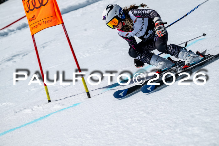 DSV - Actanol Deutscher Schülercup U12 Finale RSX 2026