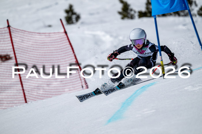 DSV - Actanol Deutscher Schülercup U12 Finale RSX 2026