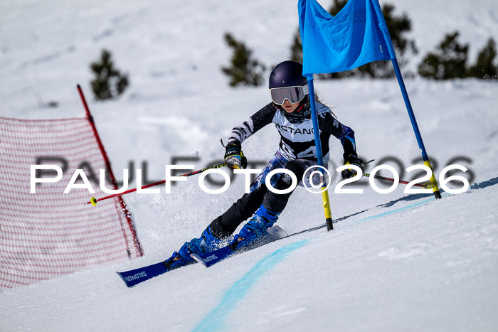 DSV - Actanol Deutscher Schülercup U12 Finale RSX 2026