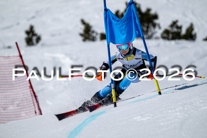 DSV - Actanol Deutscher Schülercup U12 Finale RSX 2026