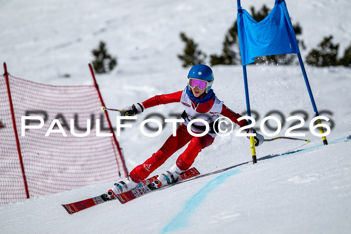 DSV - Actanol Deutscher Schülercup U12 Finale RSX 2026