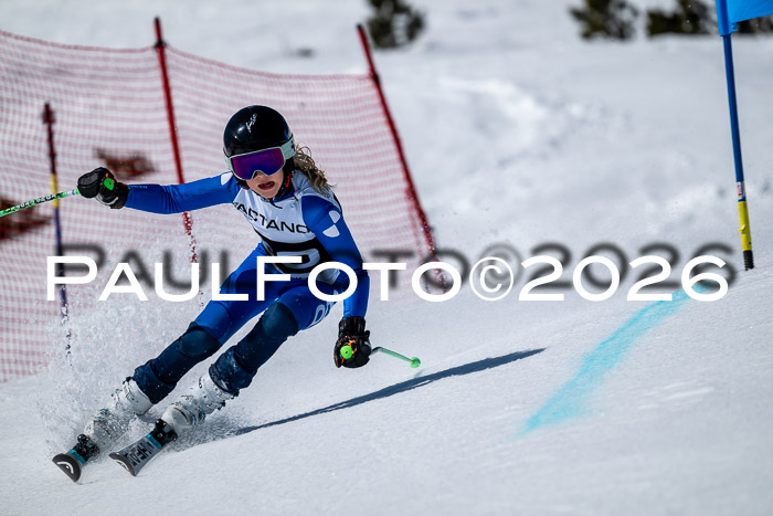 DSV - Actanol Deutscher Schülercup U12 Finale RSX 2026