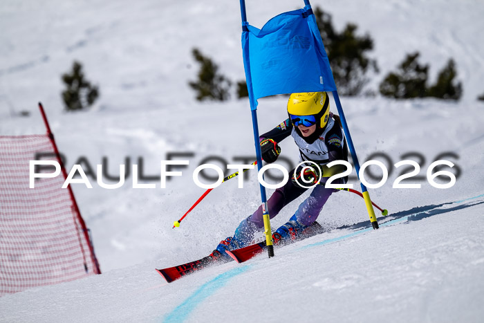 DSV - Actanol Deutscher Schülercup U12 Finale RSX 2026