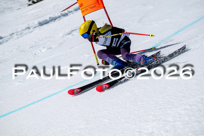 DSV - Actanol Deutscher Schülercup U12 Finale RSX 2026