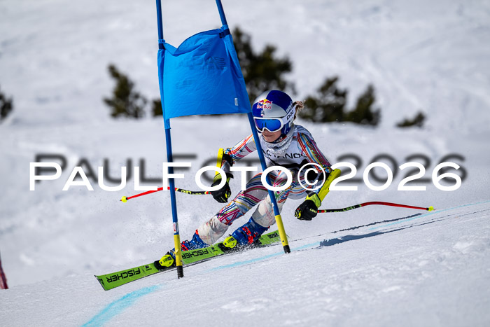 DSV - Actanol Deutscher Schülercup U12 Finale RSX 2026