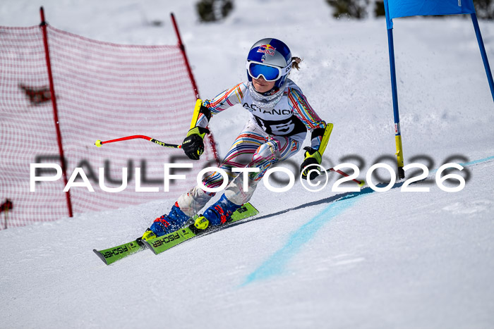 DSV - Actanol Deutscher Schülercup U12 Finale RSX 2026