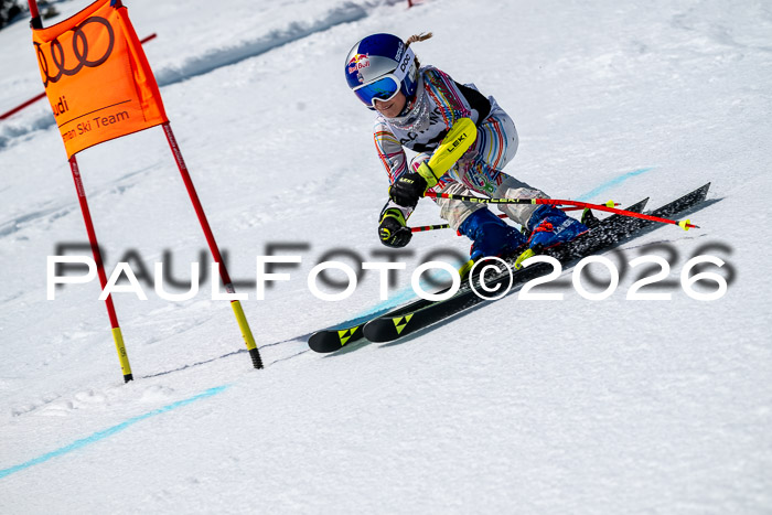 DSV - Actanol Deutscher Schülercup U12 Finale RSX 2026