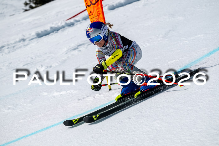 DSV - Actanol Deutscher Schülercup U12 Finale RSX 2026