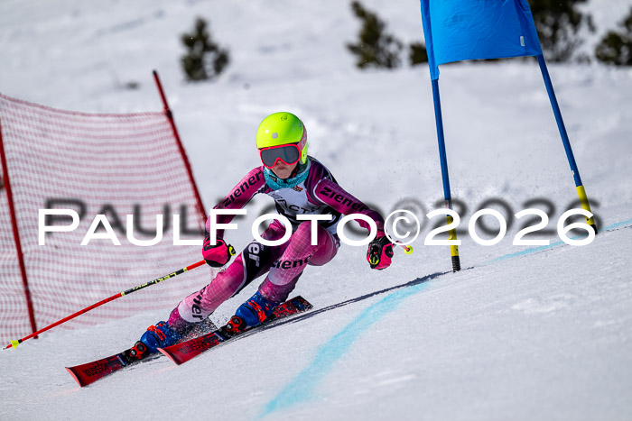 DSV - Actanol Deutscher Schülercup U12 Finale RSX 2026