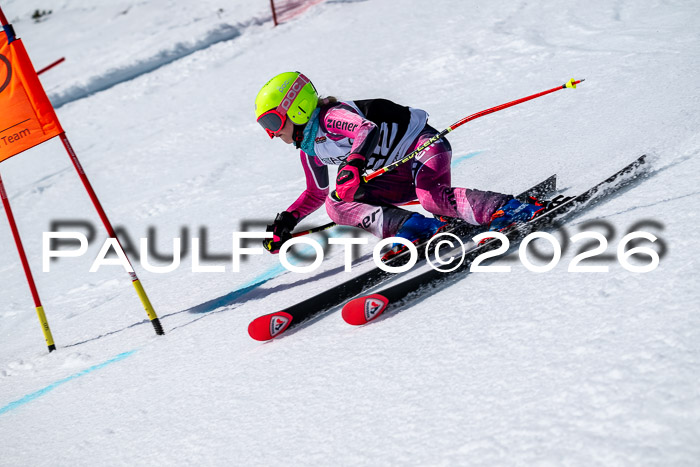 DSV - Actanol Deutscher Schülercup U12 Finale RSX 2026