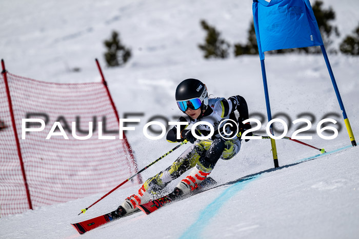 DSV - Actanol Deutscher Schülercup U12 Finale RSX 2026