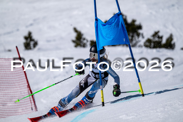 DSV - Actanol Deutscher Schülercup U12 Finale RSX 2026