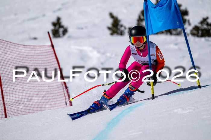 DSV - Actanol Deutscher Schülercup U12 Finale RSX 2026