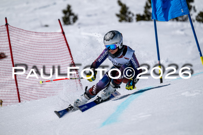 DSV - Actanol Deutscher Schülercup U12 Finale RSX 2026