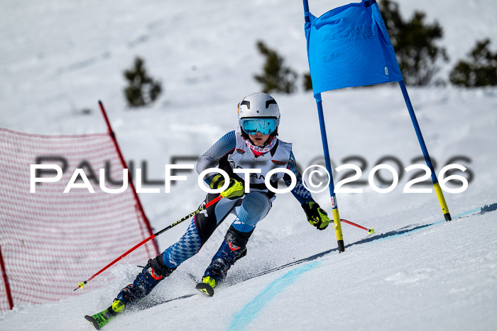 DSV - Actanol Deutscher Schülercup U12 Finale RSX 2026